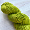 Oscar Shaniko Yarn