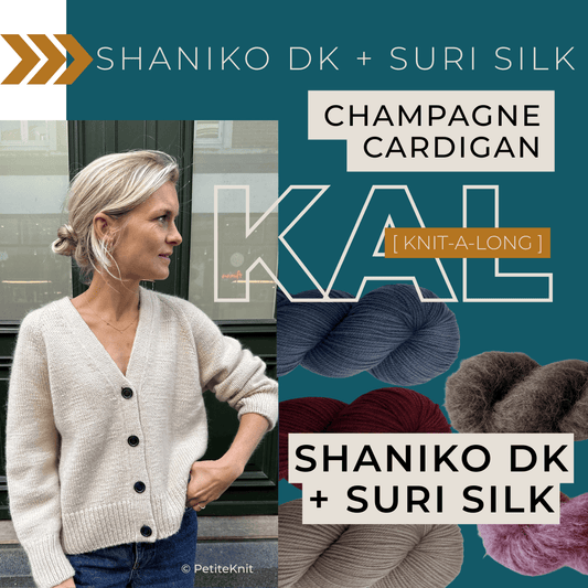 Champagne Cardigan Bundle - Shaniko DK + Suri Silk Hand-dyed Fiber-Macgyver