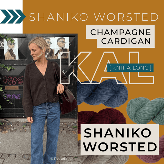 Champagne Cardigan Bundle - Shaniko Worsted Hand-dyed Fiber-Macgyver