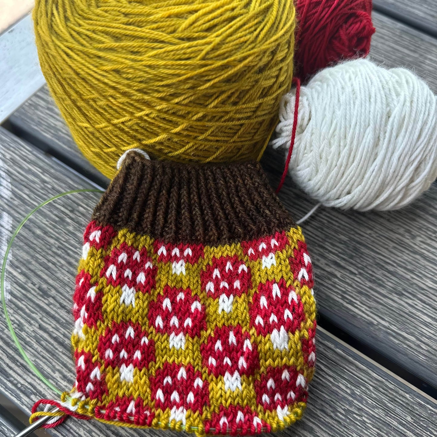 Magical Mycelium Socks Bundle Hand-dyed Yarn Fiber-Macgyver