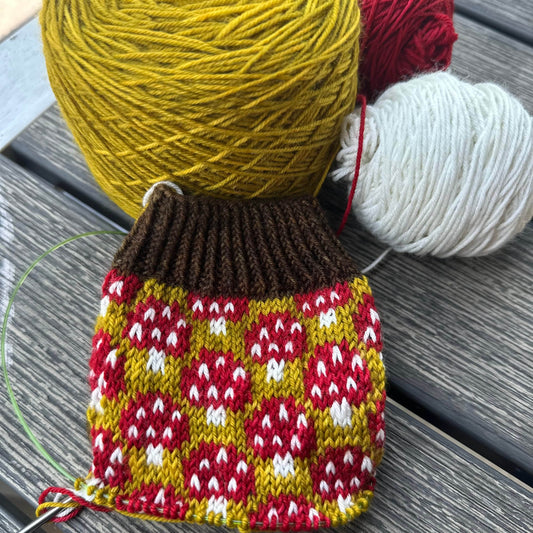 Magical Mycelium Socks Bundle Hand-dyed Yarn Fiber-Macgyver