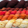 The DK Bundle Hand-dyed Fiber-Macgyver